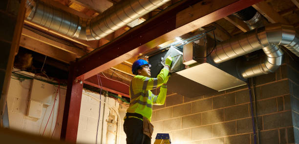 Best Air Duct Mold Removal  in East Jordan, MI